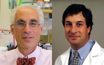 EFL022 - Care Gaps in Primary Hyperparathyroidism