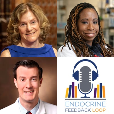 EFL062 - Primary Hyperparathyroidism in Pregnancy