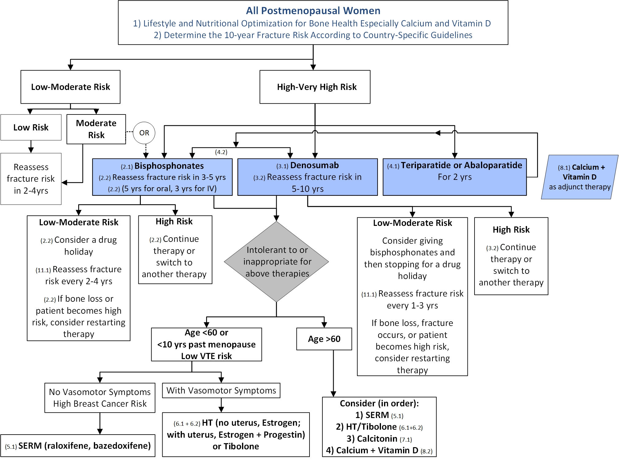 Osteoporosis Protocol Flow Chart