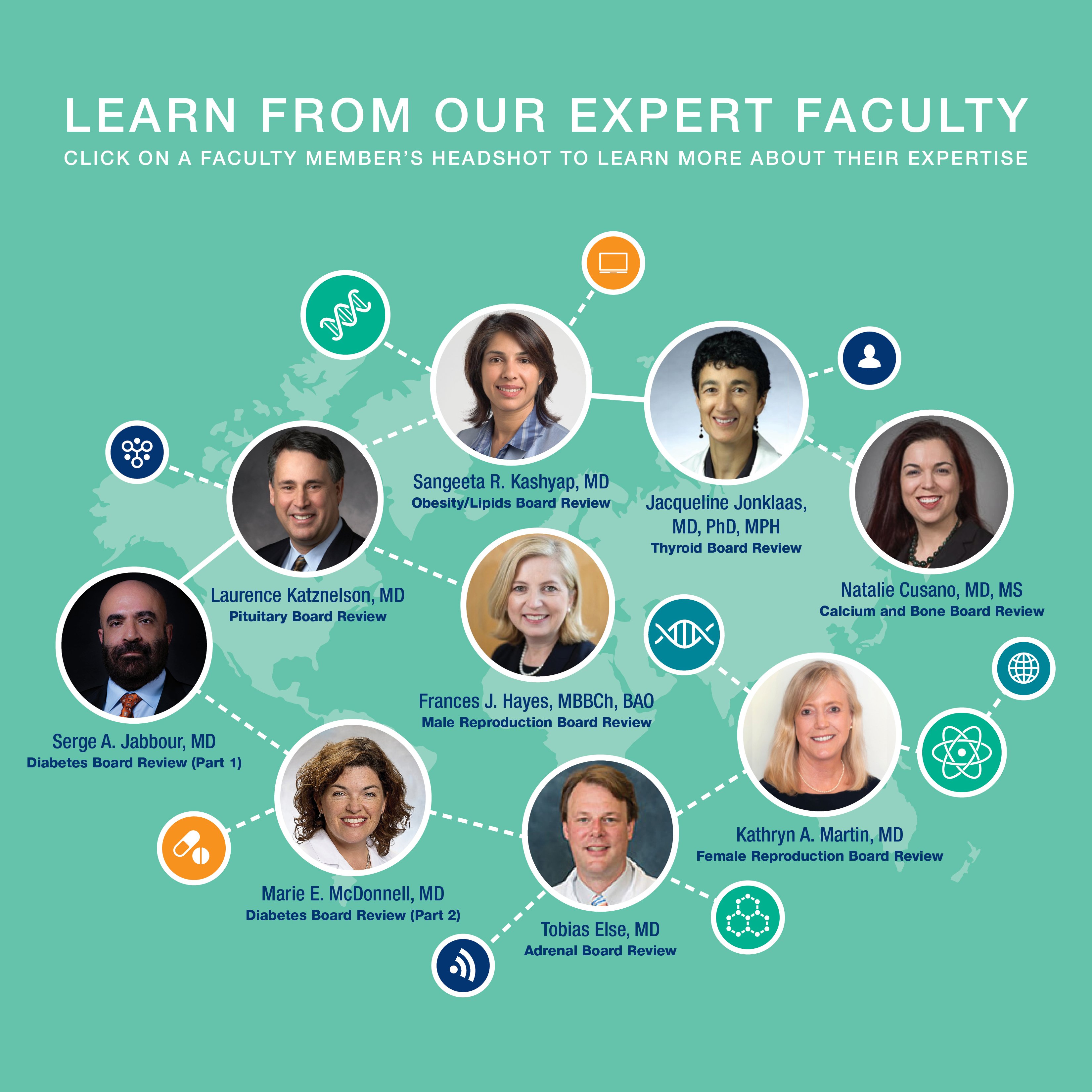 Learn from our expert faculty