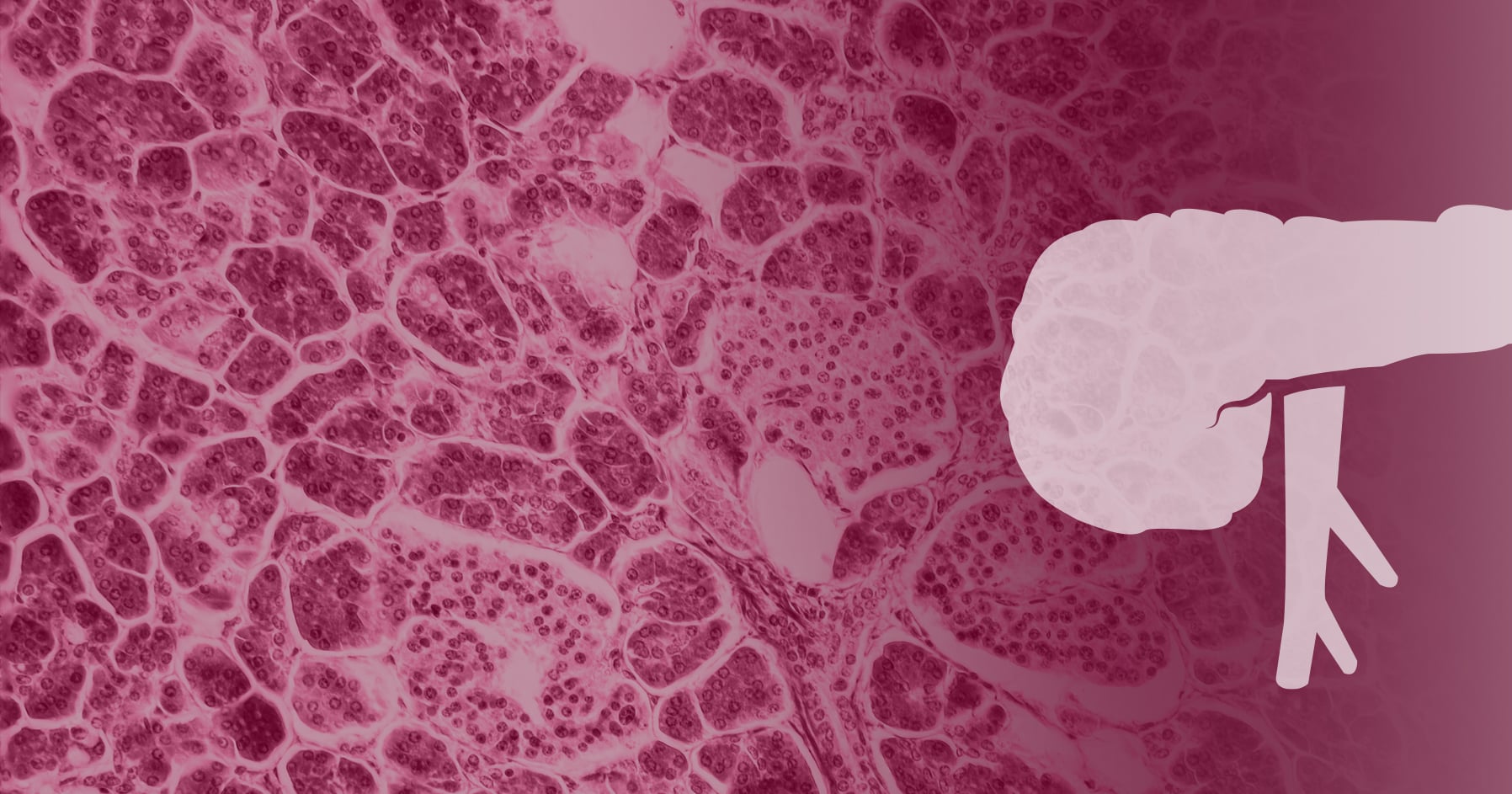 Endocrine Topics | Endocrine Society