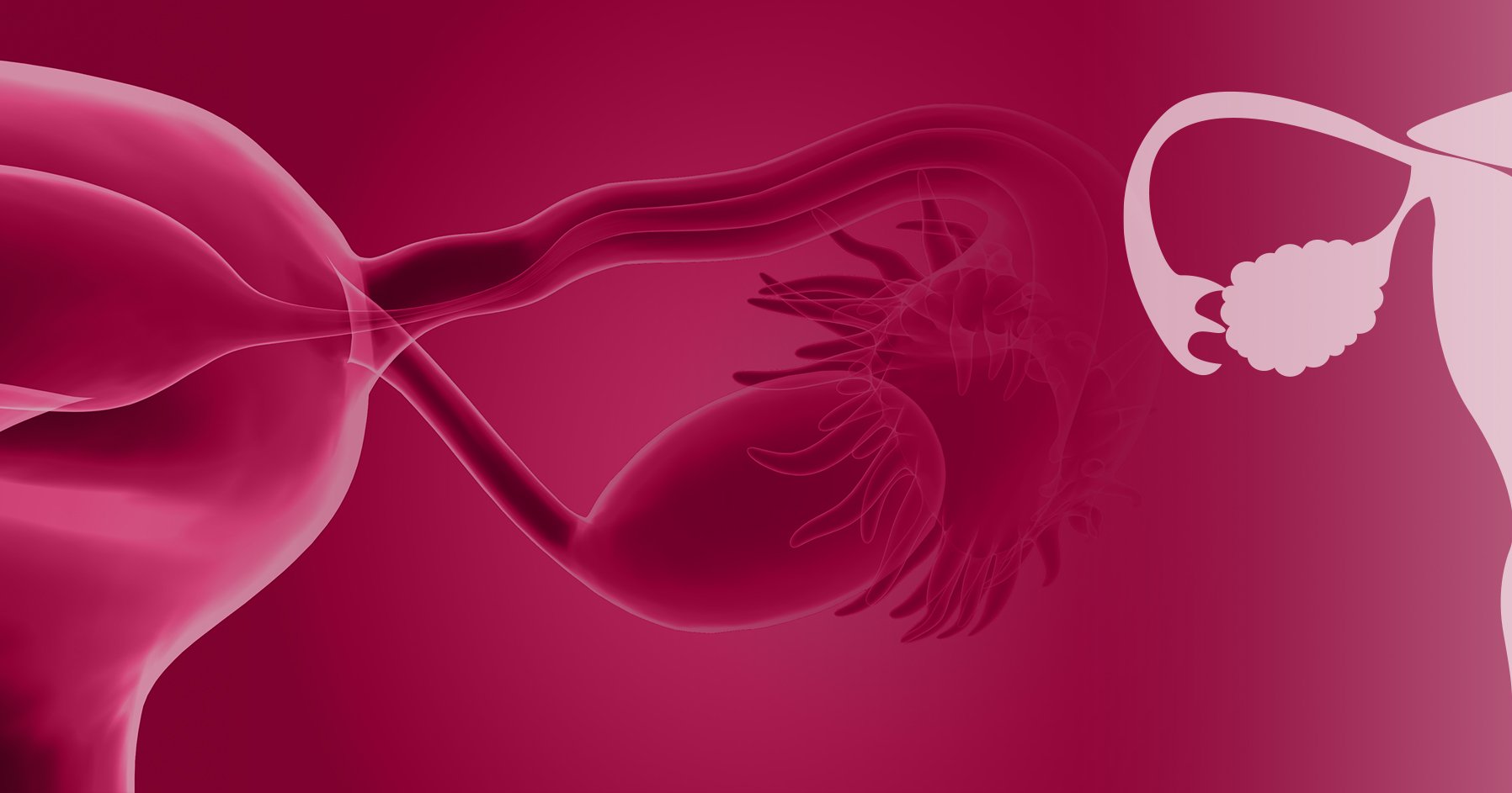 Endocrine Topics | Endocrine Society
