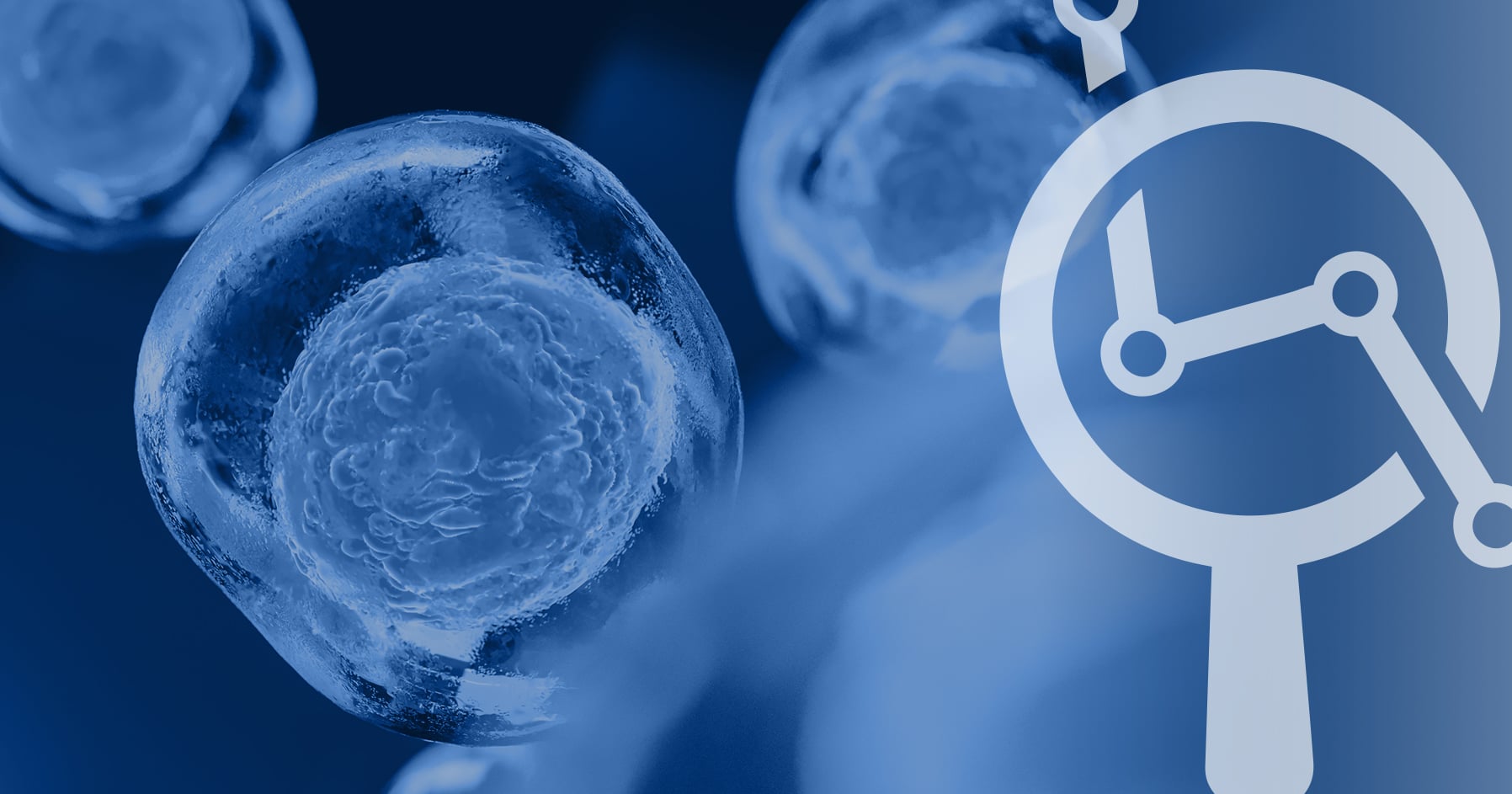 View of Researchers develop pancreatic beta-cell restoring therapy for treating ...