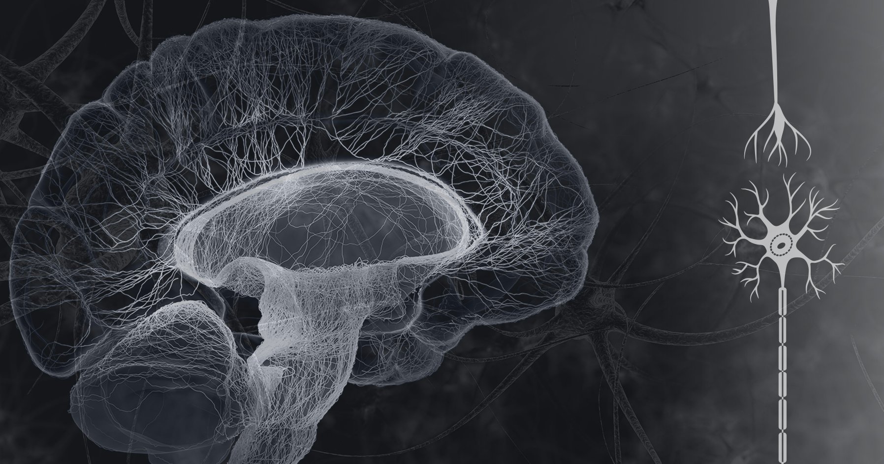 Neuroendocrinology and Pituitary Endocrine Society