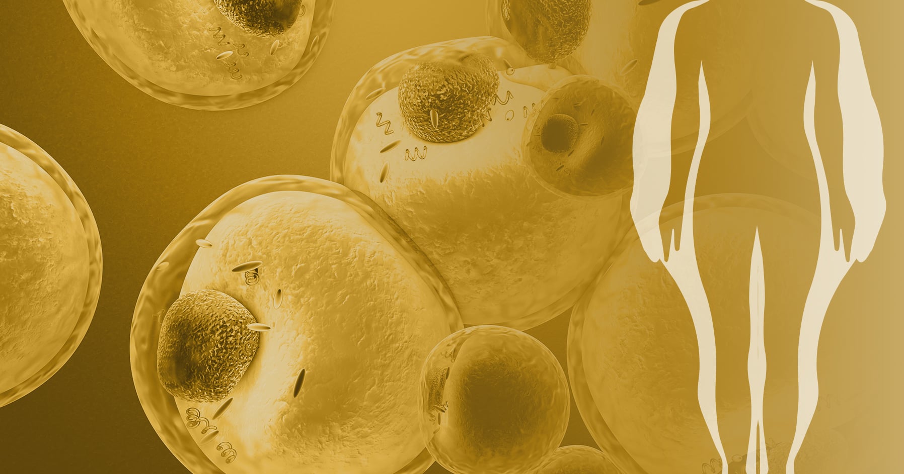 Endocrine Topics | Endocrine Society