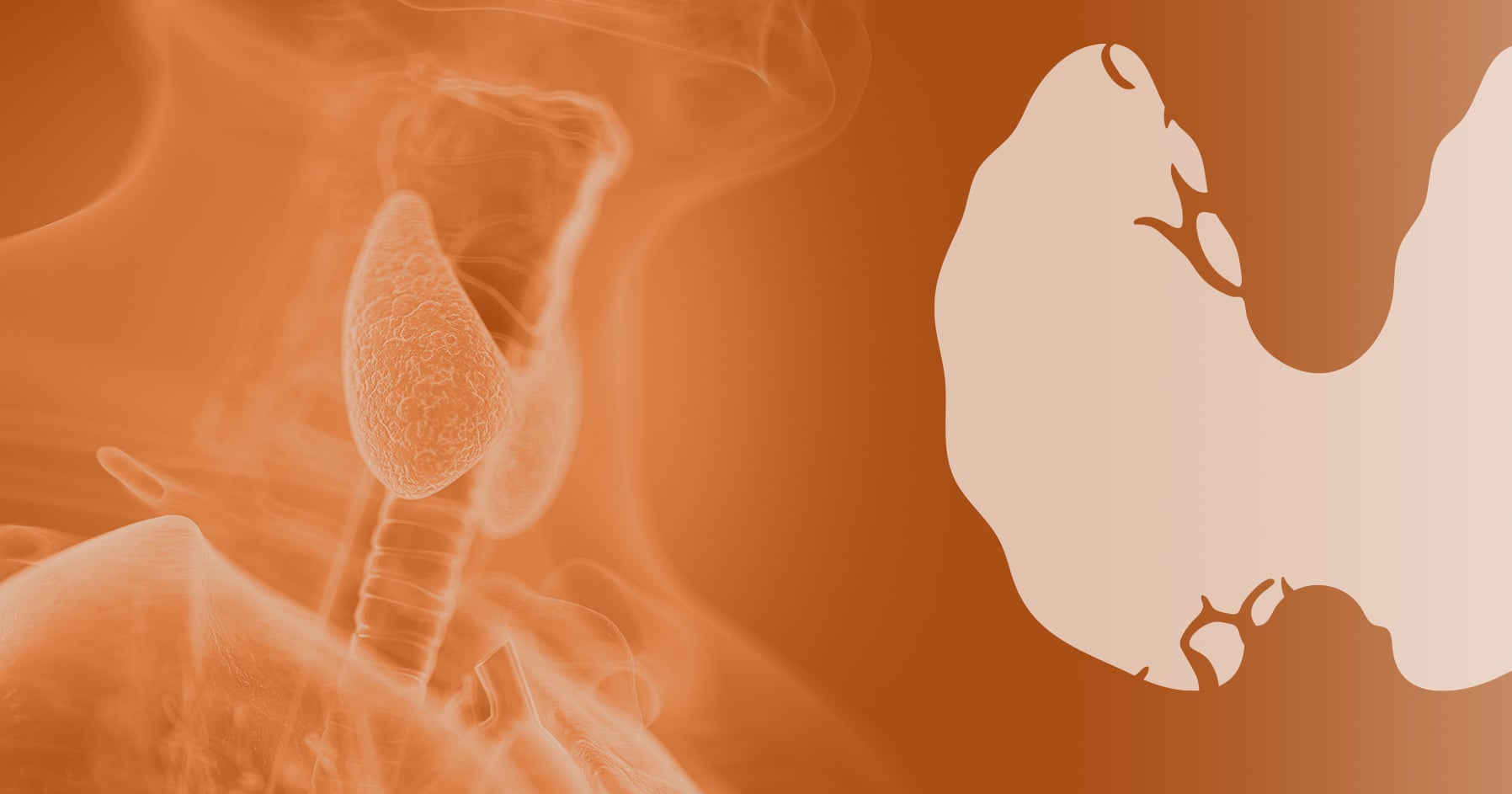 Endocrine Topics | Endocrine Society