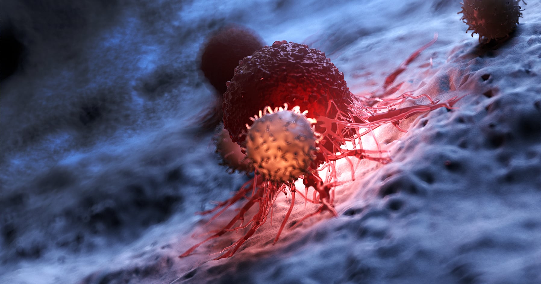 The Latest Endocrine Society