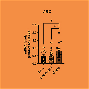 Altered Expression of Aromatase and Estrogen Receptors in Adipose Tissue From Men With Obesity or Type 2 Diabetes