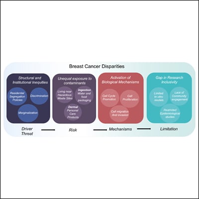 Endocrine-Disrupting Chemicals and Breast Cancer | Endocrine Society
