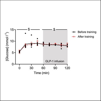 Endurance Training Improves GLP-1 Sensitivity | Endocrine Society
