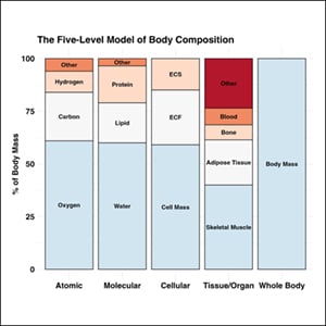 cramping after glp 1 shot Does GLP-1 Cause Leg Cramps? Mechanisms and Management – Bolt Pharmacy cramping after glp 1 shot Does GLP-1 Cause Leg Cramps? Mechanisms and Management – Bolt Pharmacy