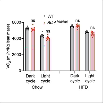 Acquired Brain Injury-Induced Hyperphagia and Obesity, Successfully ...