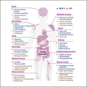 Innovative Molecules and Delivery Technologies Enabling the Future of ...