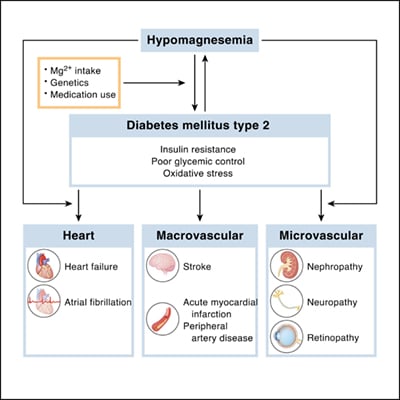 Diabetes Mellitus Type 2 Complications