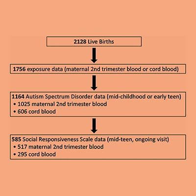 Maternal Pregnancy Leptin, Adiponectin, and Autism | Endocrine Society