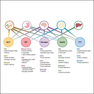 PDFProtein Balance for GLP-1s Meal Plan - Mayo Clinic Diet