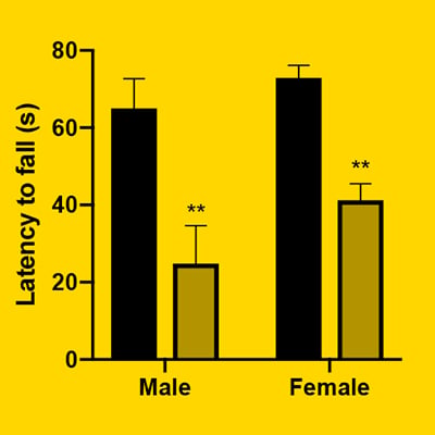 Persistent Effects of Early Life BPA Exposure | Endocrine Society