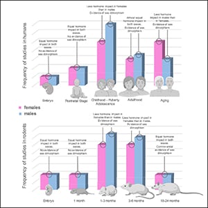 Sexual Dimorphism In Humans Examples Sexual Dimorphism in the Musculoskeletal System | Endocrine Society