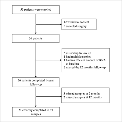 Transcriptome Changes and Metabolic Outcomes After Bariatric Surgery in ...