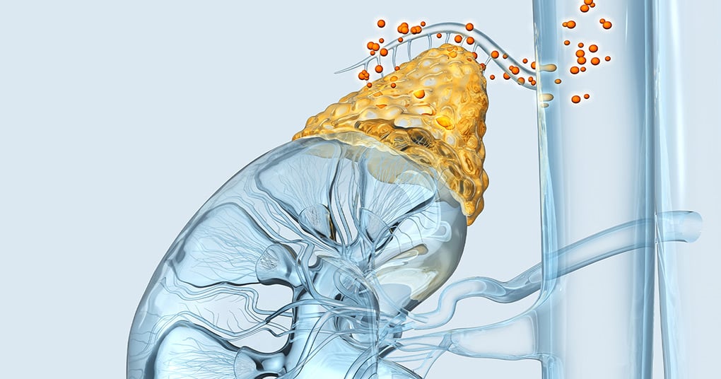 Adrenal gland