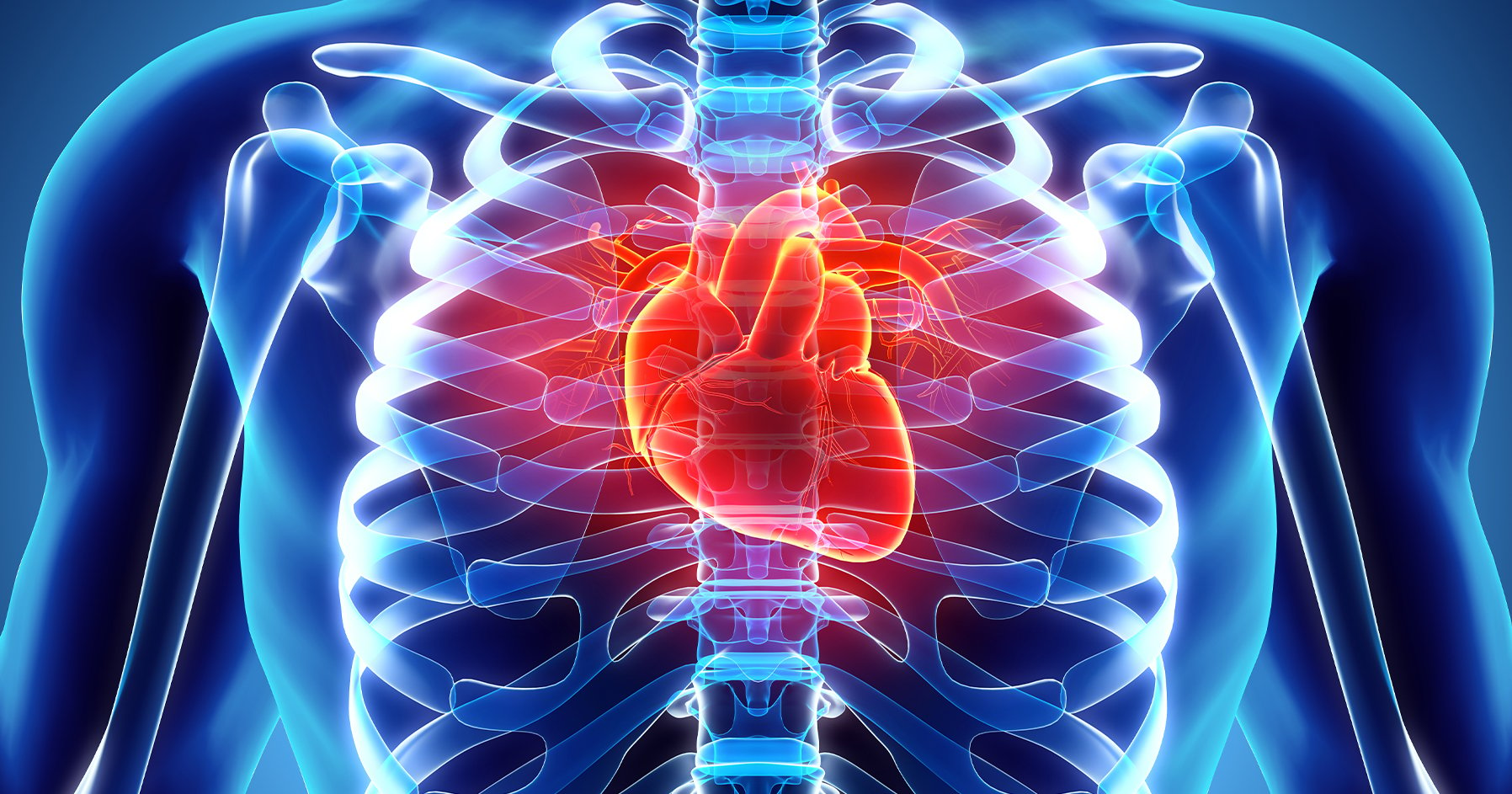 Optimizing Cardiovascular Health for Lifelong Vitality