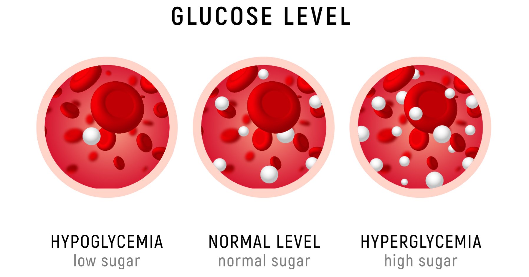 Image displaying glucose levels in the blood.