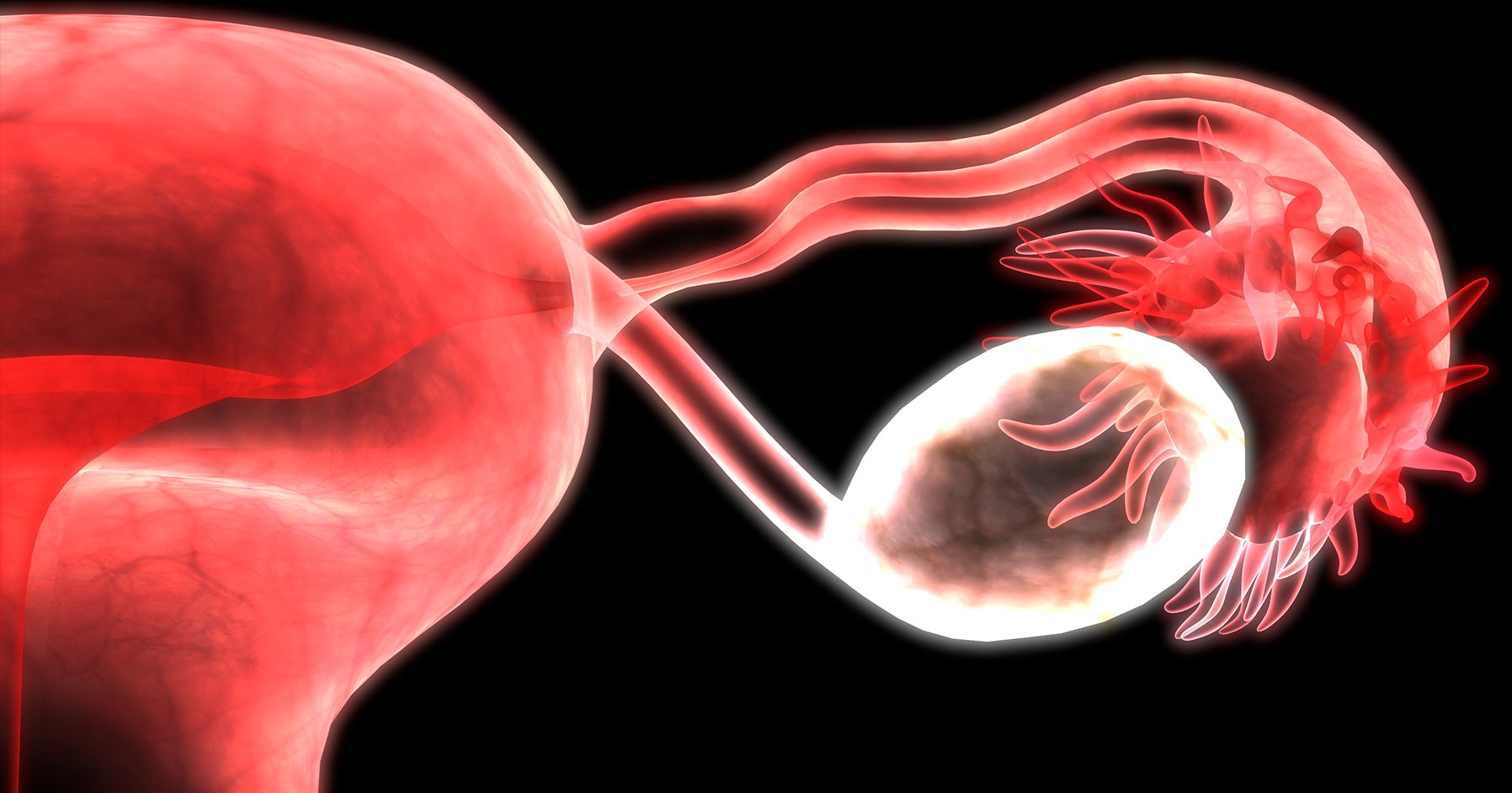 Ovarian Failure Nec ovarian-failure-nec