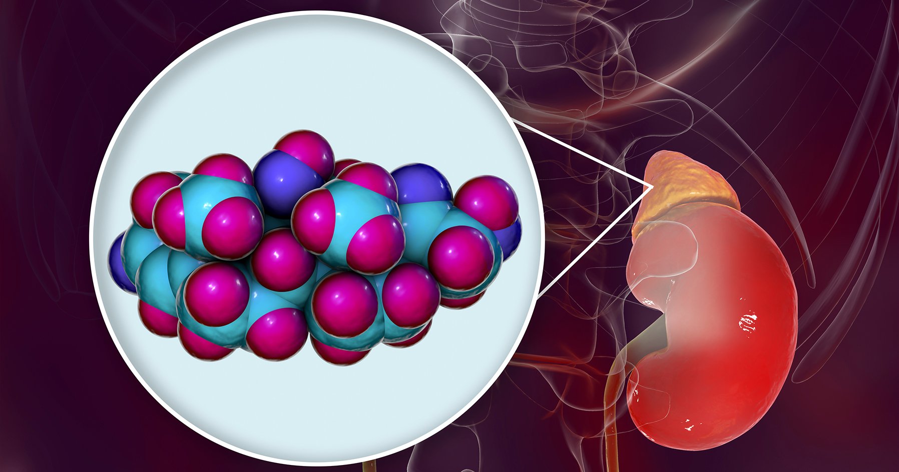 Image of adrenal gland and hormone cluster