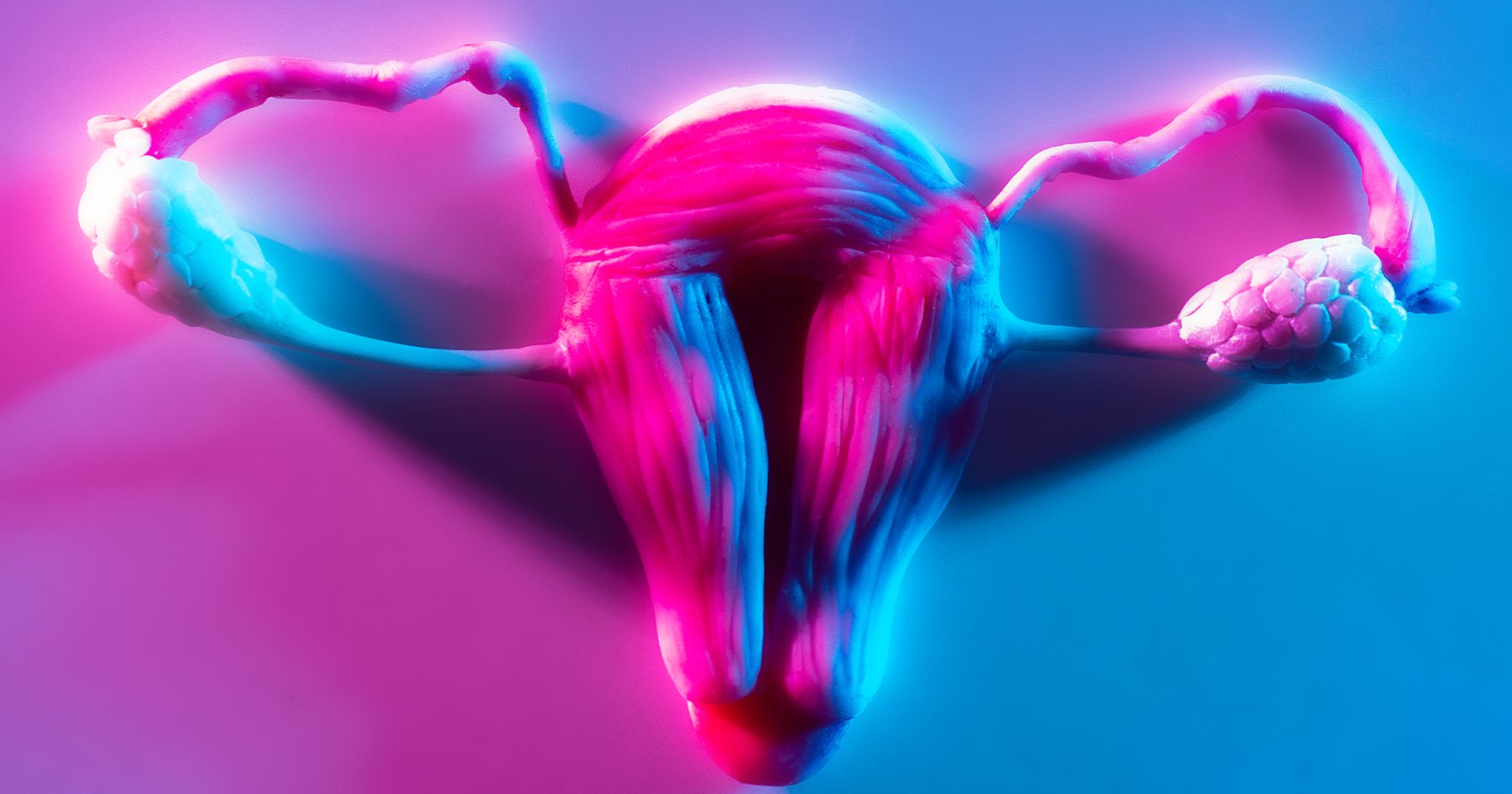 Image of female reproductive system