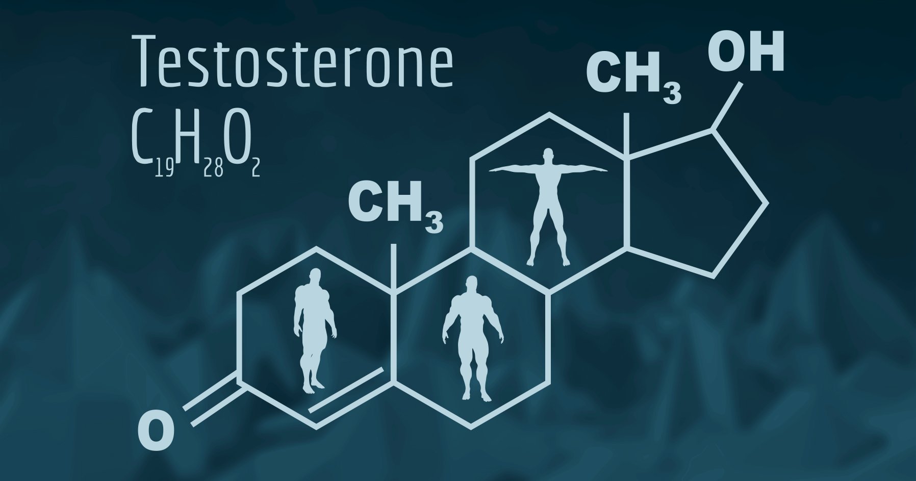 Image of a chart on testosterone.