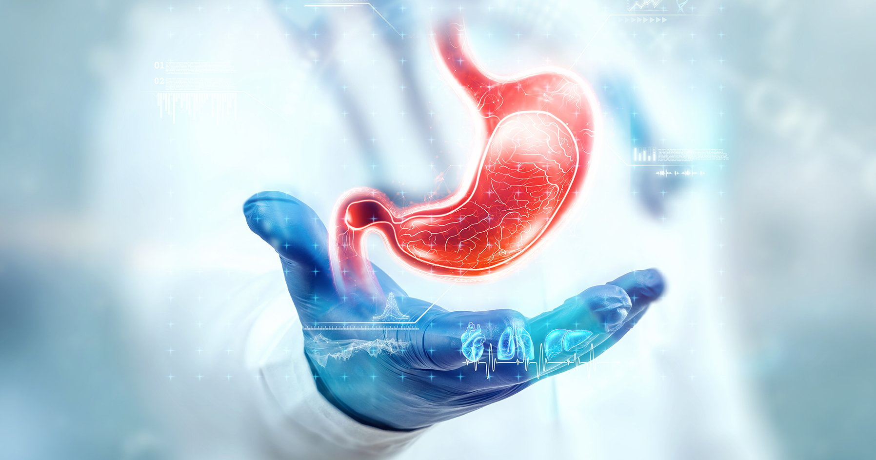 Image of a stylized human stomach. 