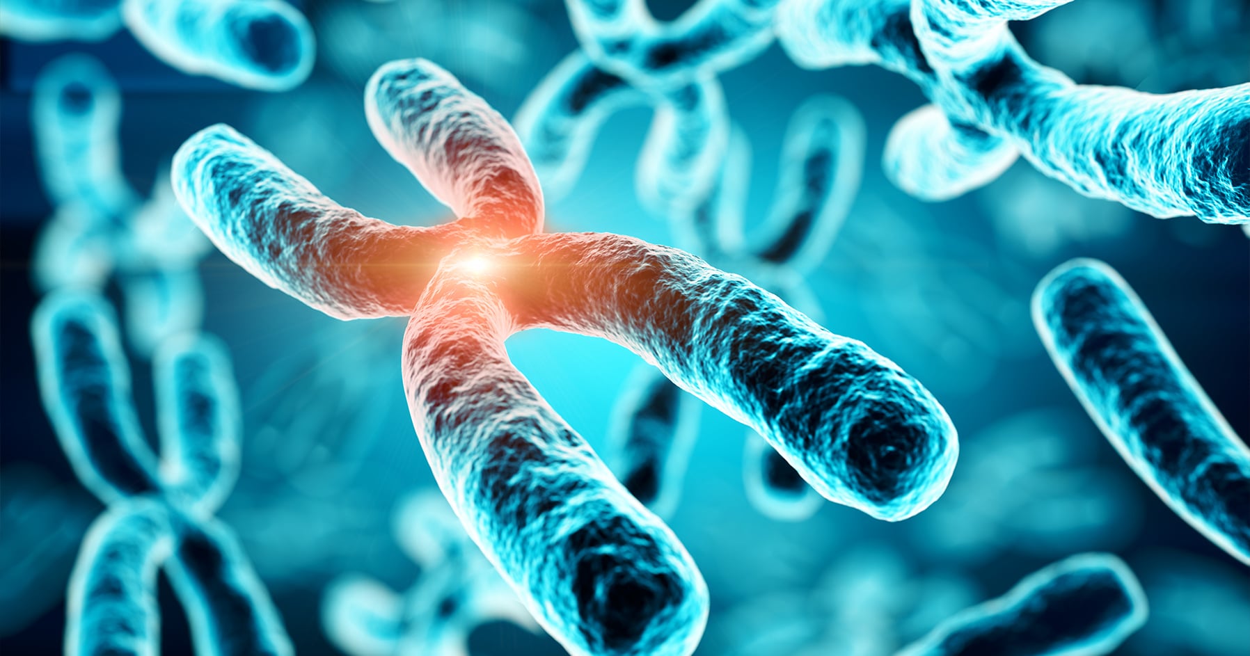 Image of chromosome in body related to X-linked hypophosphatemia. 