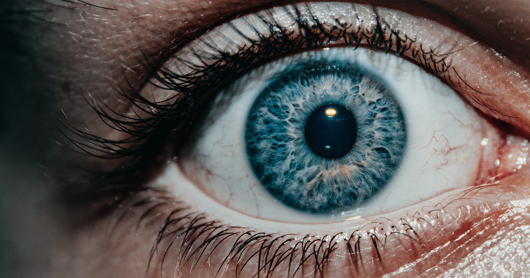 Image of a human eye.