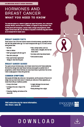 Image of hormones and breast cancer infographic.