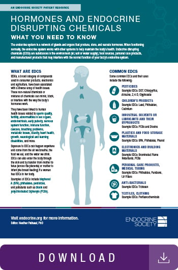 Image of hormones and endocrine disrupting chemicals infographic.