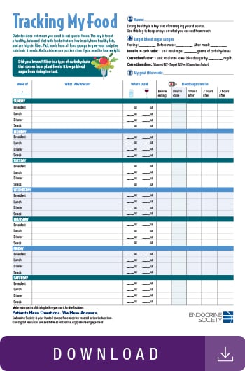 Image of insulin food log toolkit.