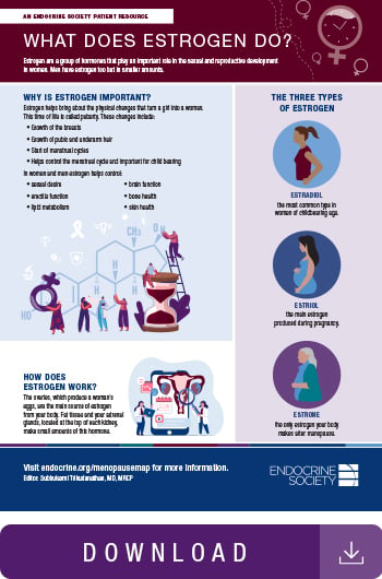 Infographic on understanding estrogen.