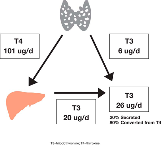 Figure 4 - Compounded Bioidentical Hormones in Endocrinology Practice: An Endocrine Society Scientific Statement