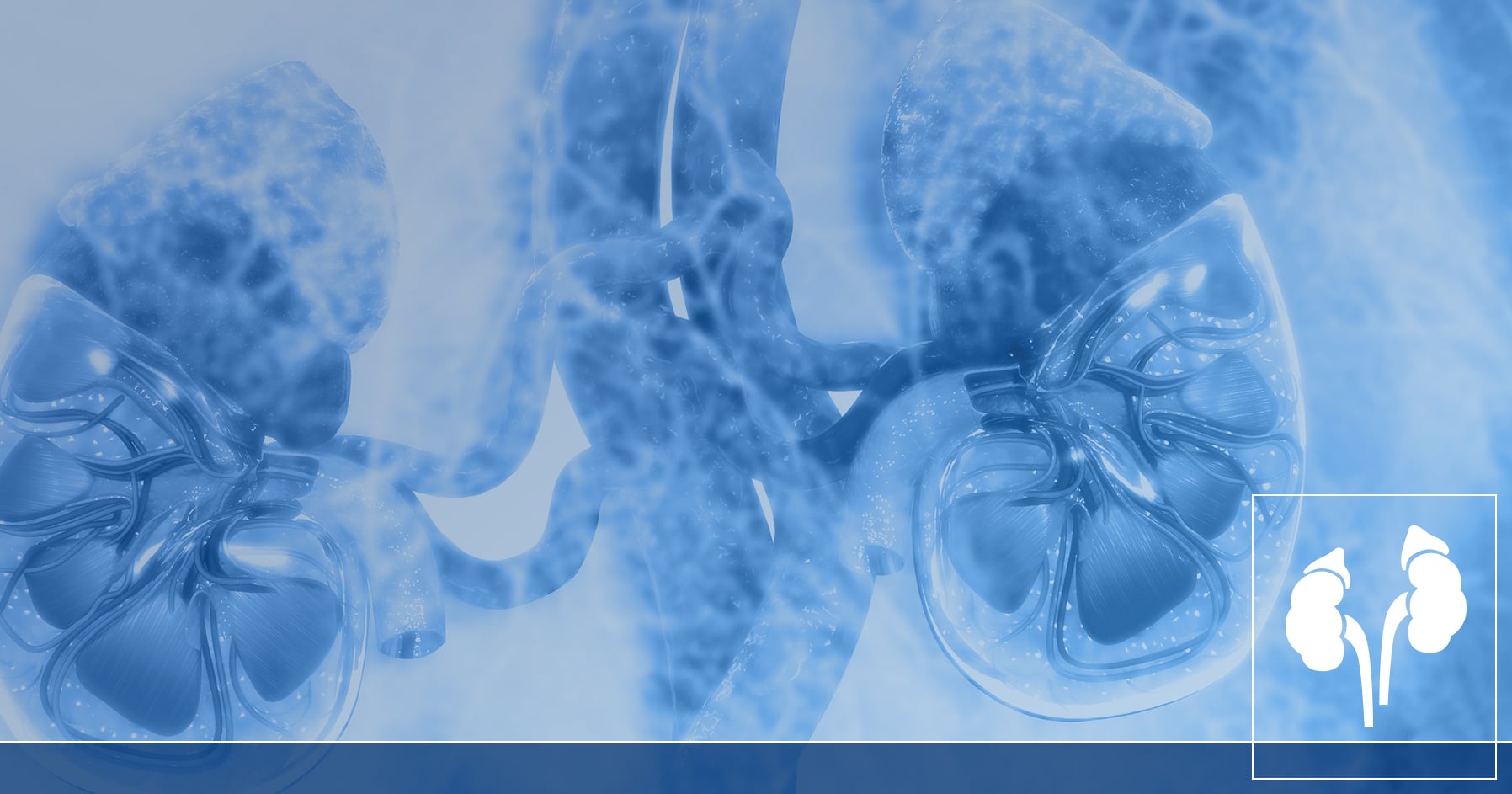 Primary Adrenal Insufficiency Guideline Resources Endocrine Society