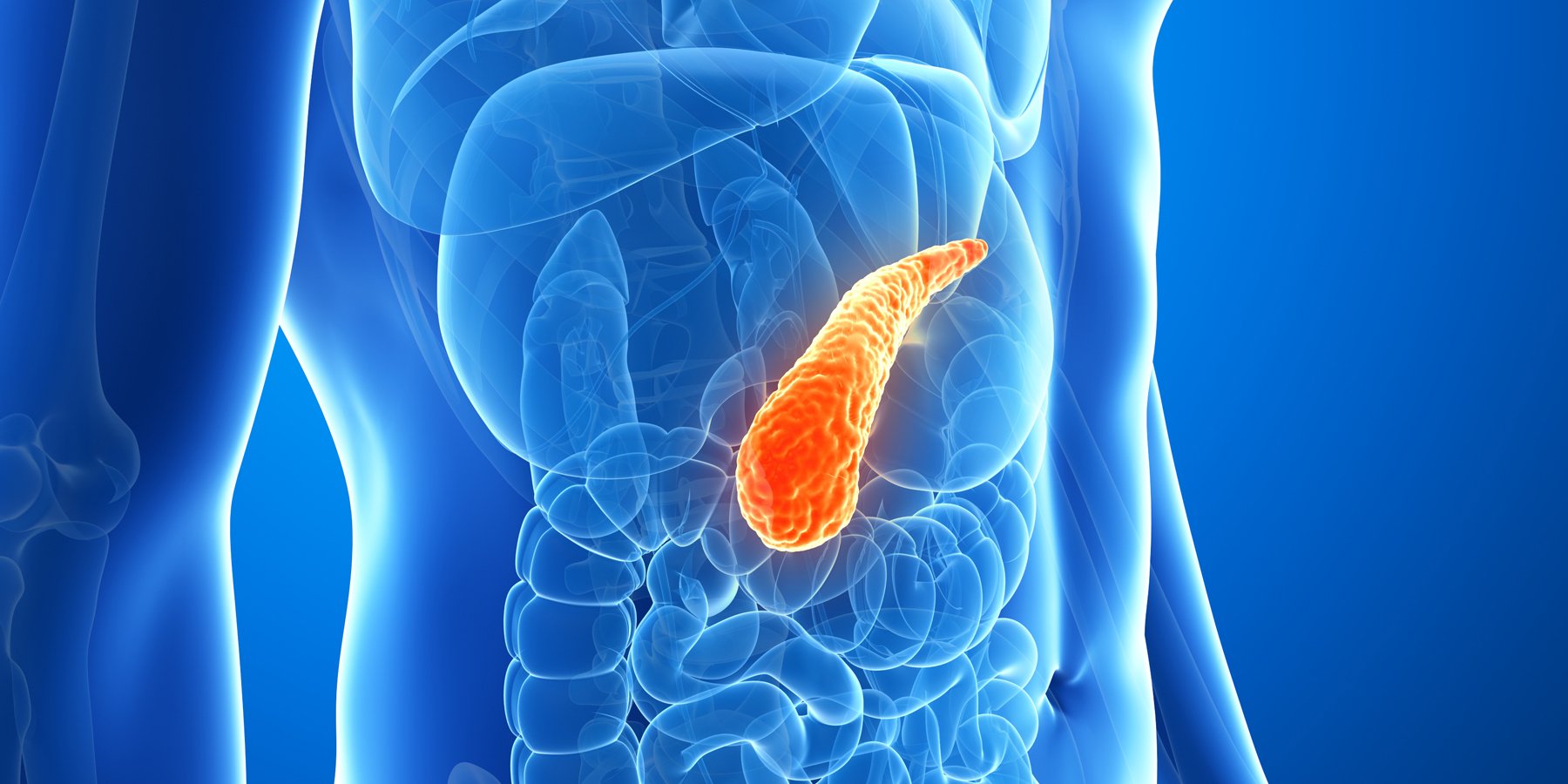 Pancreatic somatostatin. Поджелудочная фото. Pancreatic somatostatin.